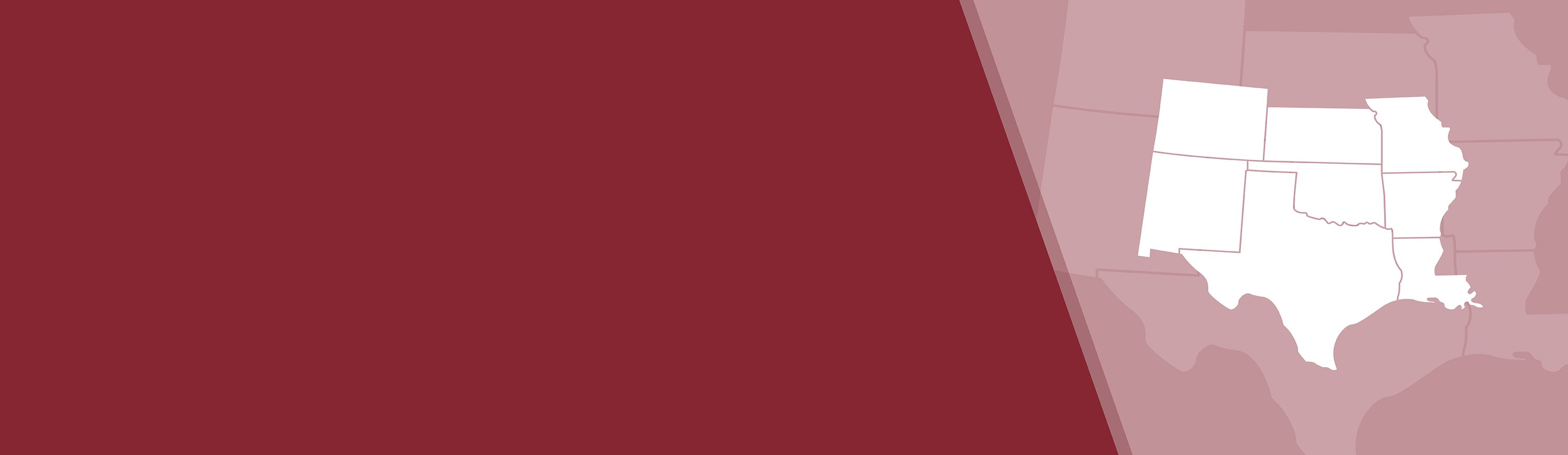State Profiling Texas MPL State Profile
