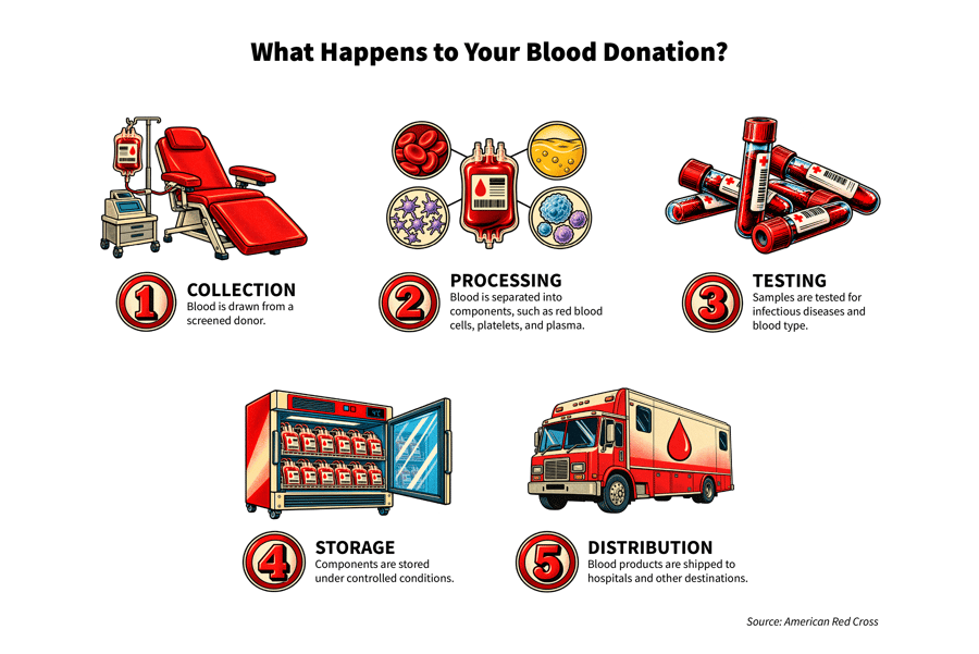 BloodDonationGraphic